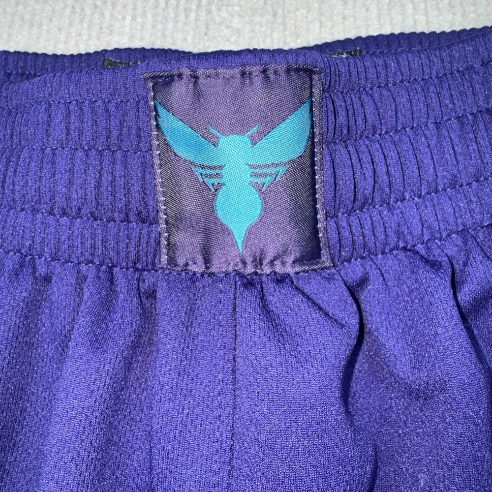 Adidas‎ Charlotte Hornets NBA Mens Medium Purple Basketball Shorts Mesh Striped